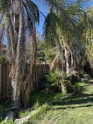 Pablo’s Landscaping Services