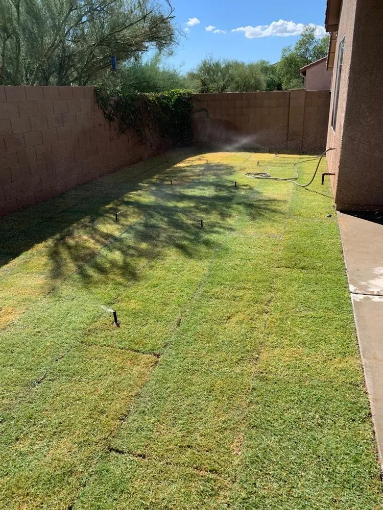 Affordable landscape design for year-round maintenance in Tucson, AZ by Pablo”s Landscaping