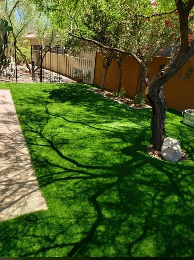 Expert landscape installation for homes across Tucson, AZ - Pablo's Landscaping