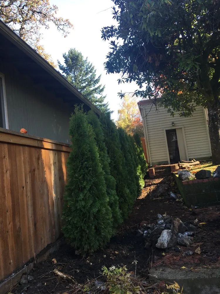 Expert yard maintenance in Eugene, OR by Pablo’s Lawn Maintenance