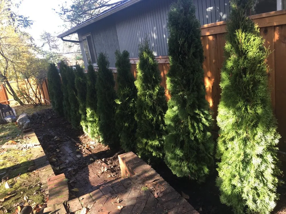 Professional garden landscaping in Eugene, OR - Pablo’s Lawn Maintenance