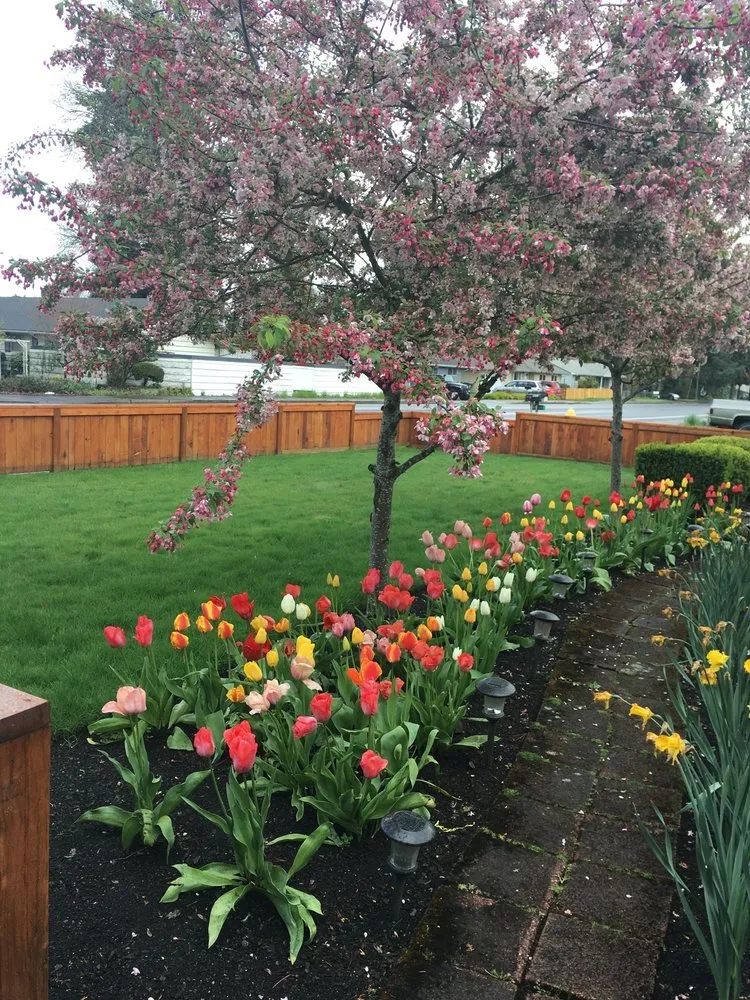 Reliable landscaping services for residential properties in Eugene, OR by Pablo’s Lawn Maintenance