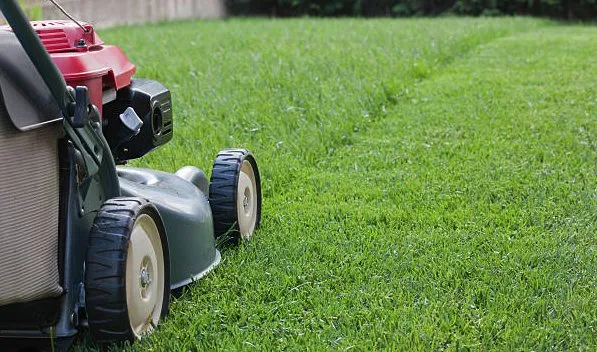 Reliable landscape design near you in Holly Lake Ranch, TX by Pablo’s Lawn Service