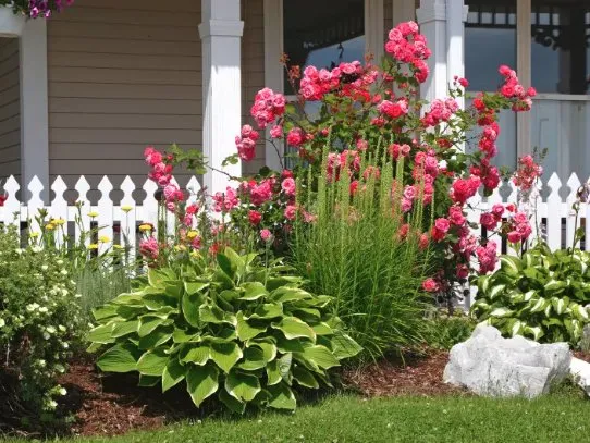 Expert residential landscaping experts serving Holly Lake Ranch, TX - Pablo’s Lawn Service