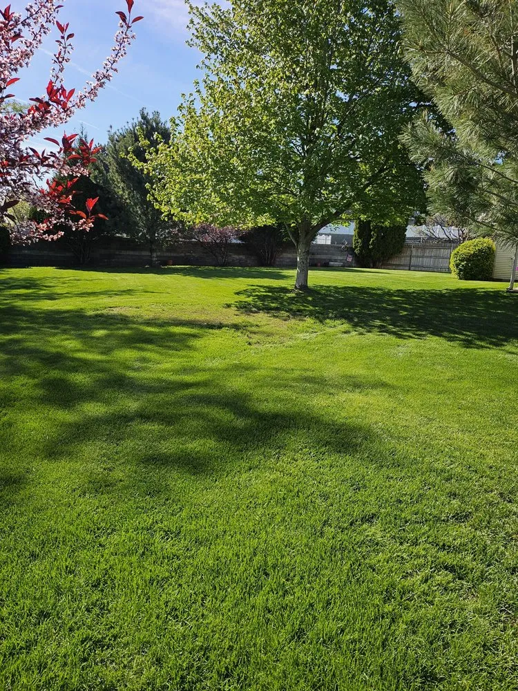 Expert yard maintenance experts serving Milton-Freewater, OR - Pablo's Lawn Service