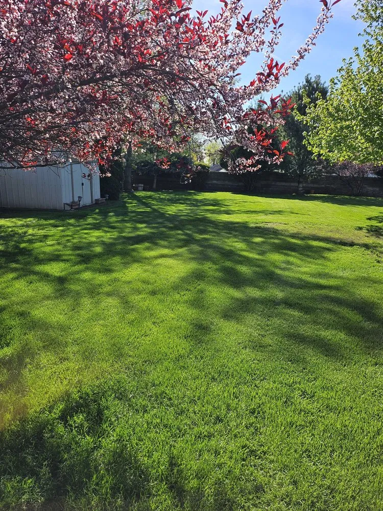 Custom yard cleanup service in Milton-Freewater, OR - Pablo's Lawn Service