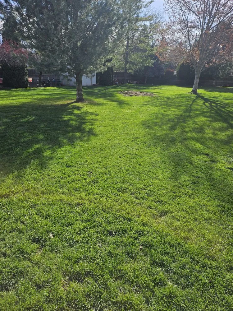 Top-rated landscape installation experts serving Milton-Freewater, OR - Pablo's Lawn Service