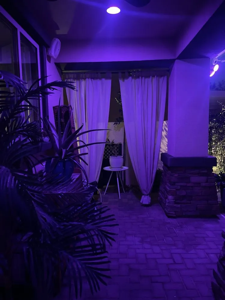 Top-rated yard cleanup service for year-round maintenance in Las Vegas, NV by Pablo's Palmas Tree & Landscaping Services