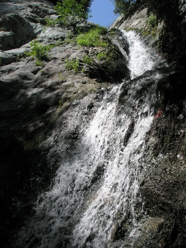 Expert outdoor landscaping experts serving Las Vegas, NV - Pablo's Palmas Tree & Landscaping Services