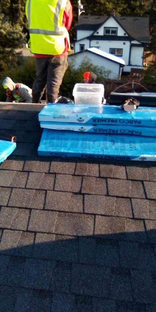 Affordable yard cleanup service near you across Olympia, WA - Pablo's Roofing & Landscaping Services