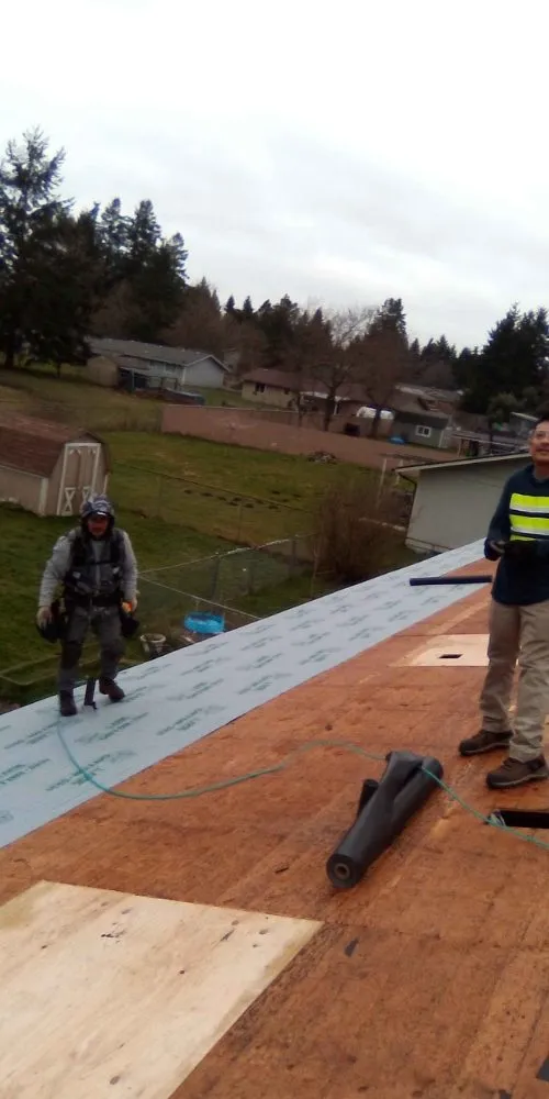 Local yard cleanup service experts serving Olympia, WA - Pablo's Roofing & Landscaping Services