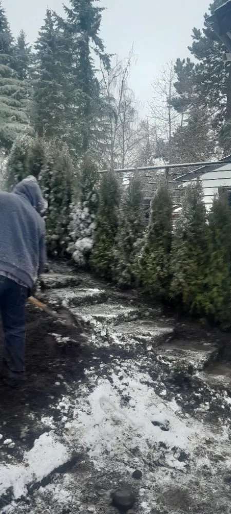 Top-rated residential landscaping near you across Olympia, WA - Pablo's Roofing & Landscaping Services