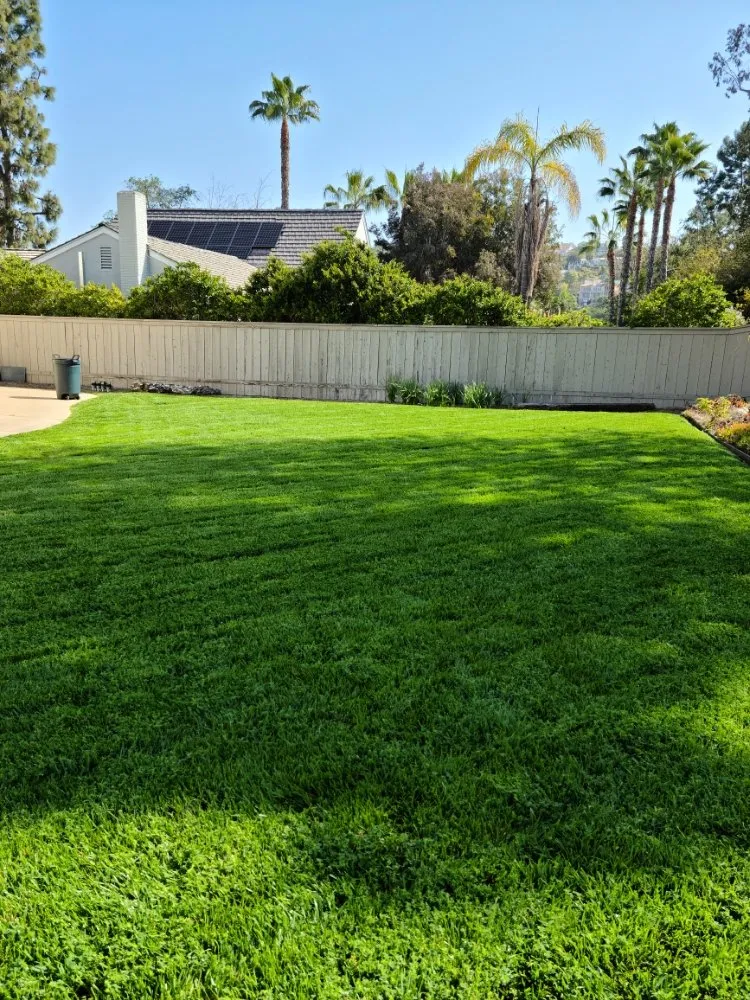Professional yard maintenance for residential properties in Carlsbad, CA by Pablo's Tree Service & Landscaping