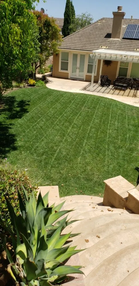 Custom landscape installation in Carlsbad, CA - Pablo's Tree Service & Landscaping