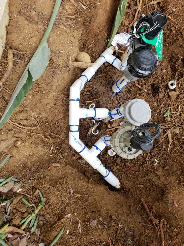 Top-rated yard maintenance in Carlsbad, CA - Pablo's Tree Service & Landscaping