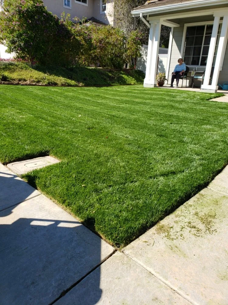 Custom yard maintenance for residential properties in Carlsbad, CA by Pablo's Tree Service & Landscaping