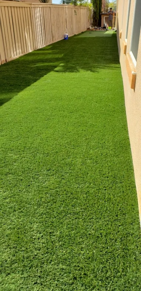 Top-rated outdoor landscaping for beautiful yards in Carlsbad, CA by Pablo's Tree Service & Landscaping