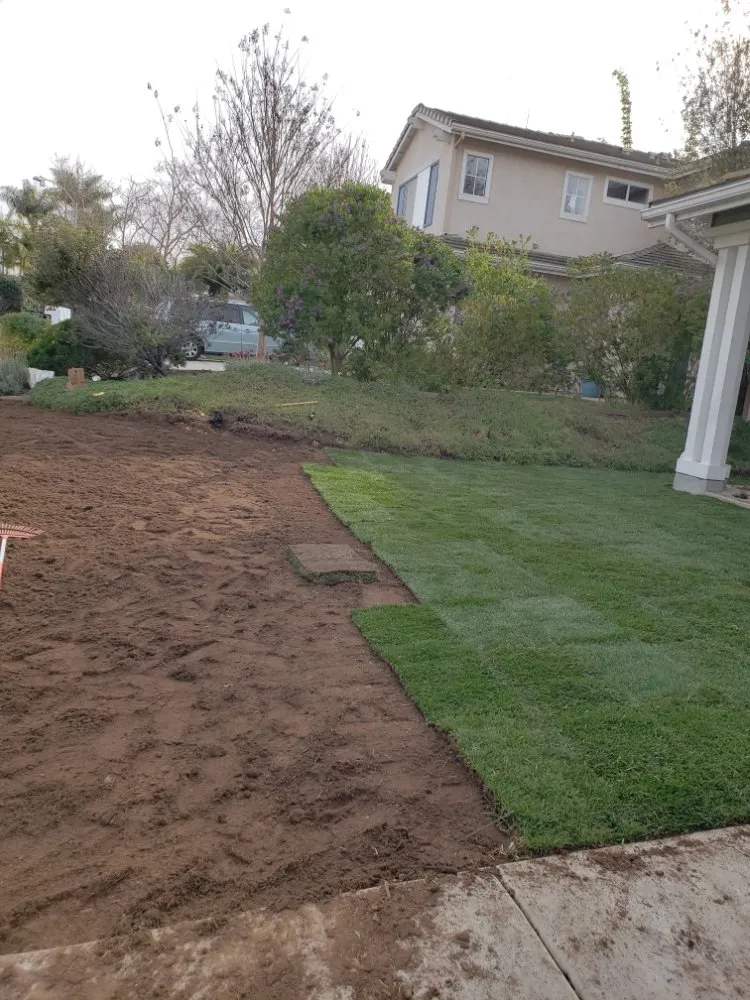 Reliable outdoor landscaping in Carlsbad, CA by Pablo's Tree Service & Landscaping