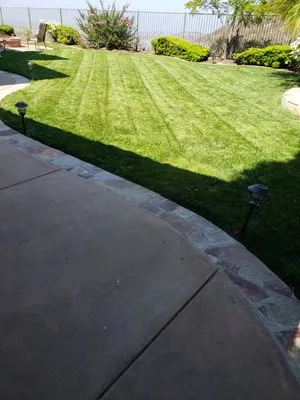 Pablo's Tree Service & Landscaping Logo