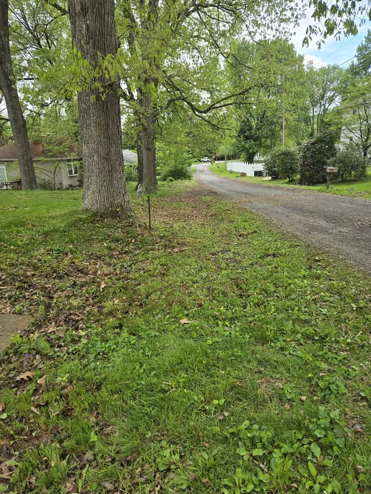 Custom outdoor landscaping experts serving Morgantown, WV - Pac Mowing