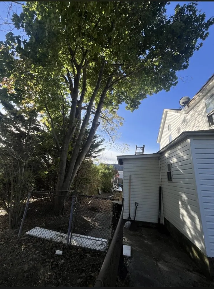 Top-rated yard cleanup service for beautiful yards in Riverhead, NY by Pace Landscaping