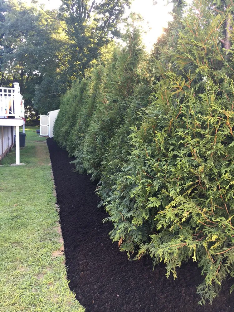 Expert landscaping services in Waterford, NY - Pace Lawn and Landscaping