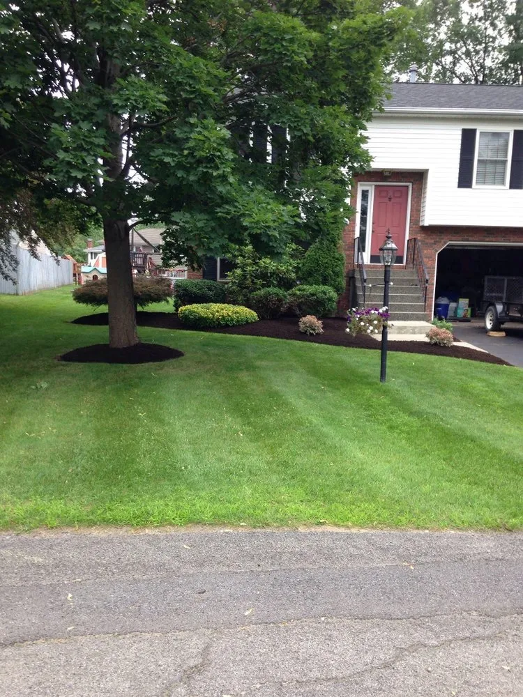 Trusted yard cleanup service near you across Waterford, NY - Pace Lawn and Landscaping
