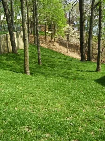 Local landscape design in Langley, OK by PaceCutters Lawn Care