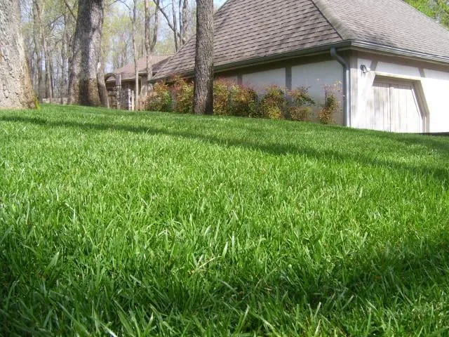 Reliable outdoor landscaping for homes across Langley, OK - PaceCutters Lawn Care