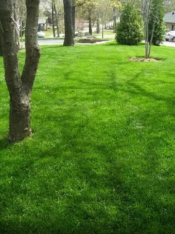 Affordable residential landscaping in Langley, OK by PaceCutters Lawn Care