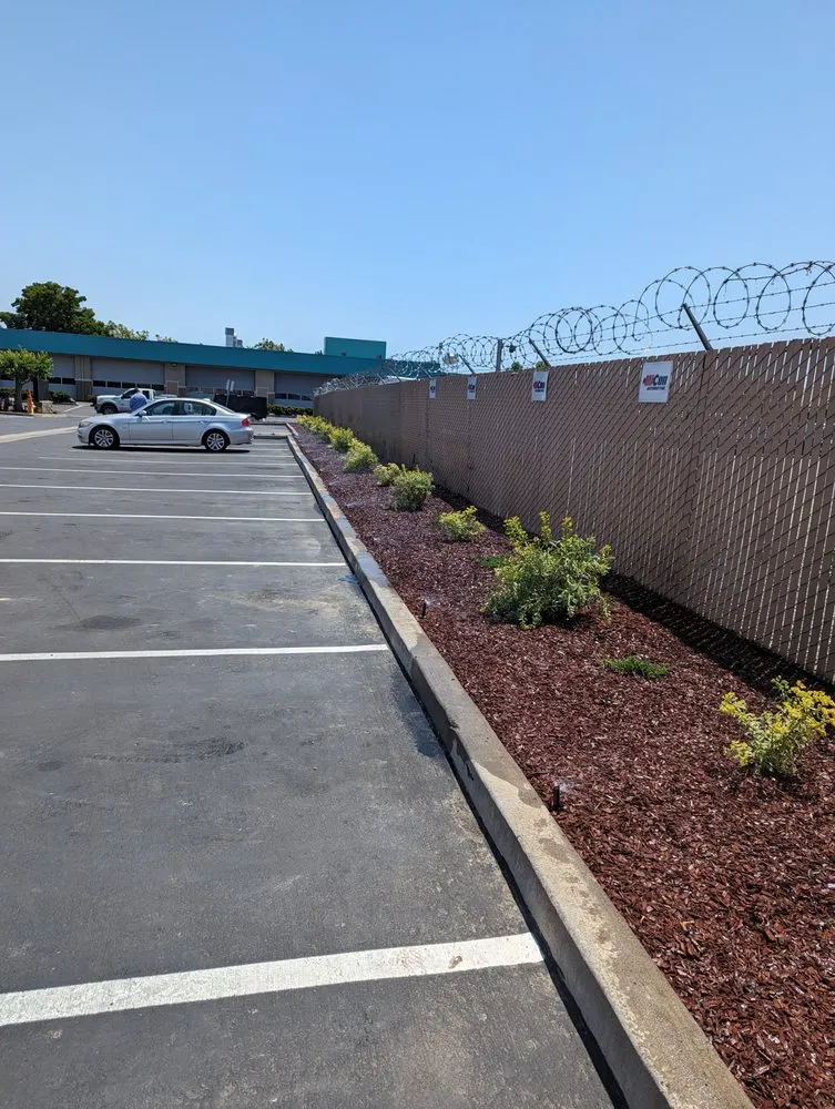 Expert landscape design in Brentwood, CA by Pacheco & Son's Landscaping