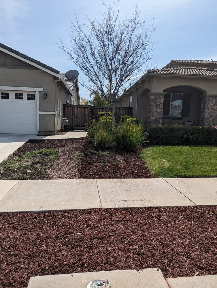 Expert yard cleanup service experts serving Brentwood, CA - Pacheco & Son's Landscaping