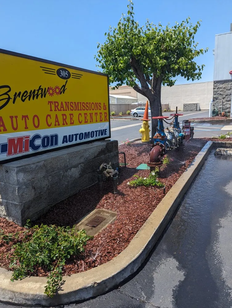 Local yard maintenance experts serving Brentwood, CA - Pacheco & Son's Landscaping