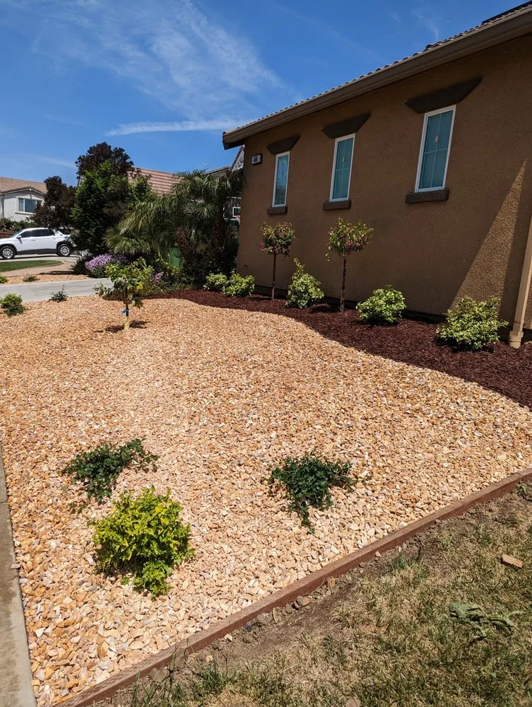 Professional residential landscaping for beautiful yards across Brentwood, CA - Pacheco & Son's Landscaping