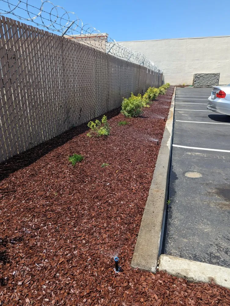 Trusted outdoor landscaping in Brentwood, CA - Pacheco & Son's Landscaping