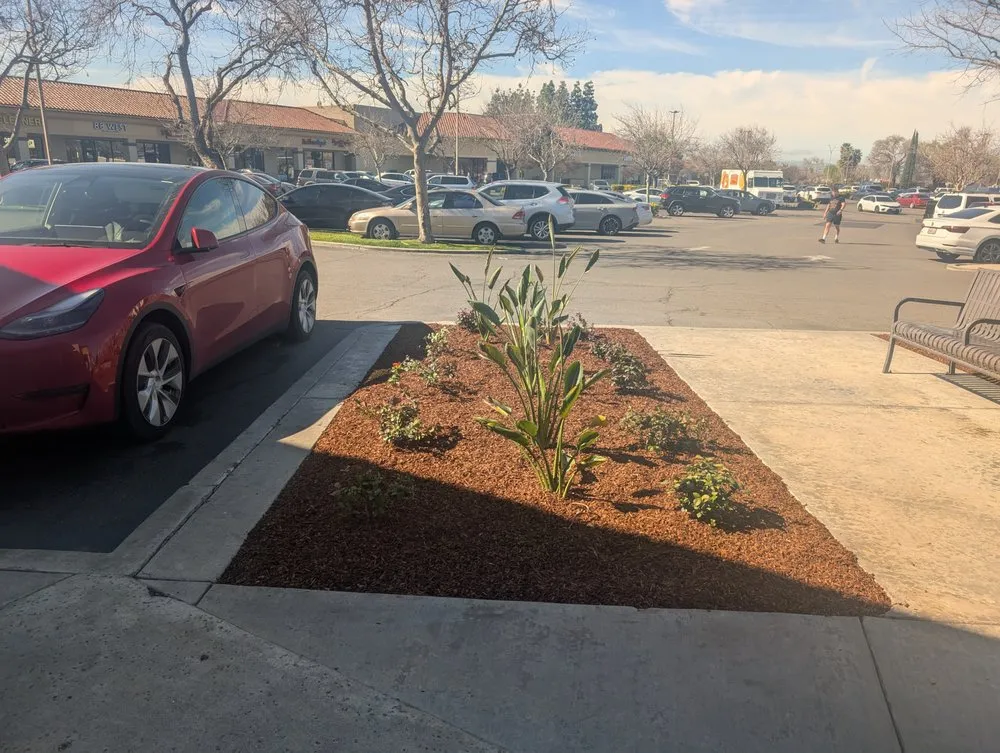 Top-rated residential landscaping experts serving Brentwood, CA - Pacheco & Son's Landscaping