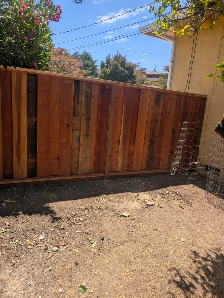 Trusted yard maintenance near you across Brentwood, CA - Pacheco & Son's Landscaping