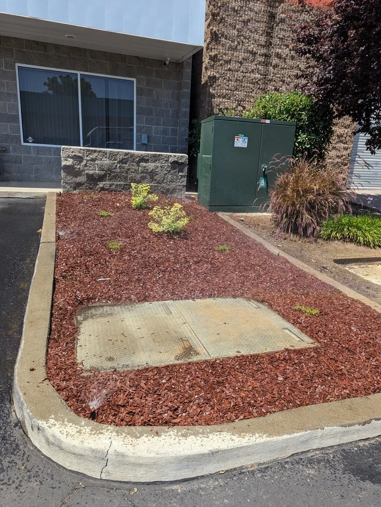 Local outdoor landscaping experts serving Brentwood, CA - Pacheco & Son's Landscaping