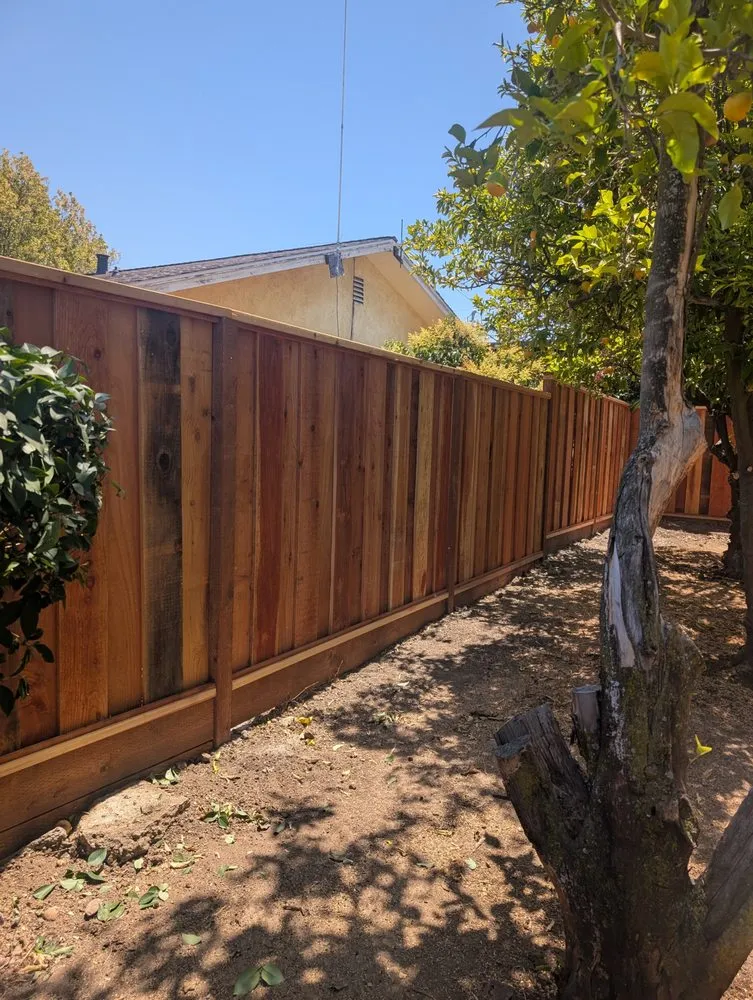 Affordable landscape design near you in Brentwood, CA by Pacheco & Son's Landscaping