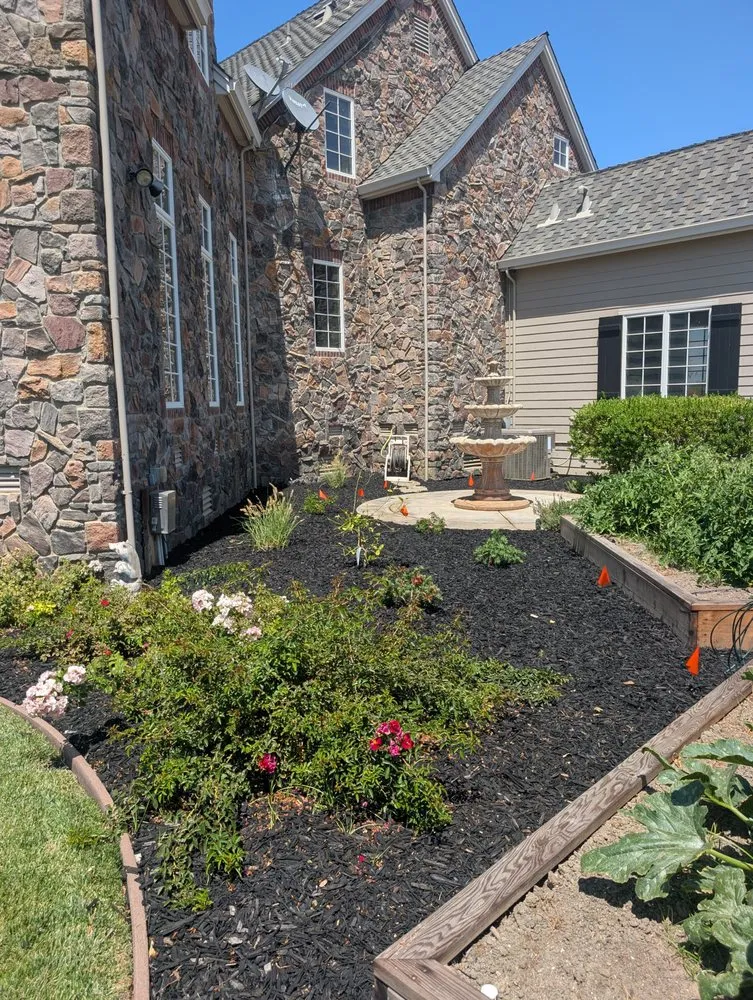 Reliable residential landscaping in Brentwood, CA - Pacheco & Son's Landscaping