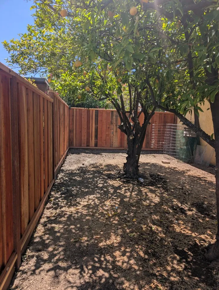 Top-rated yard cleanup service in Brentwood, CA by Pacheco & Son's Landscaping