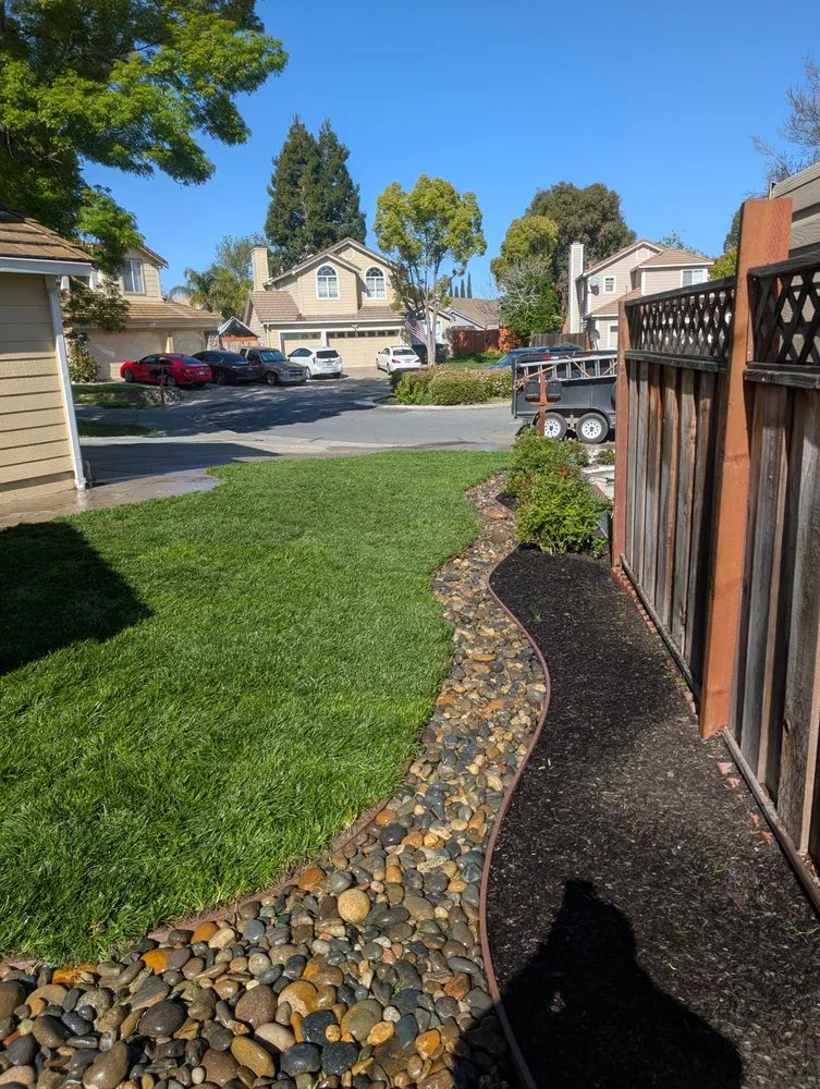 Affordable yard maintenance for outdoor upgrades across Brentwood, CA - Pacheco & Son's Landscaping
