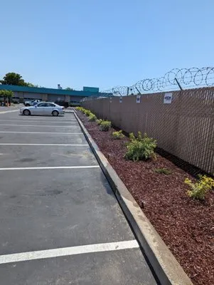 Pacheco & Son's Landscaping Logo