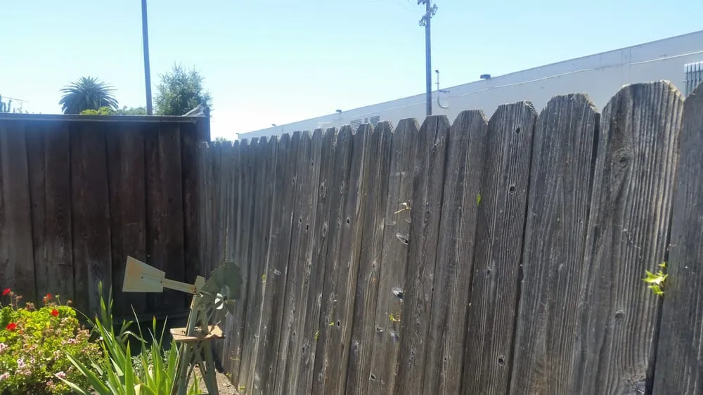 Affordable lawn mowing service for year-round maintenance across Hayward, CA - Pacheco Brothers Gardening