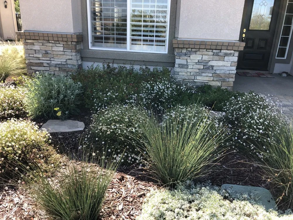Expert residential landscaping for homes across Livermore, CA - Pacheco Landscape and Construction