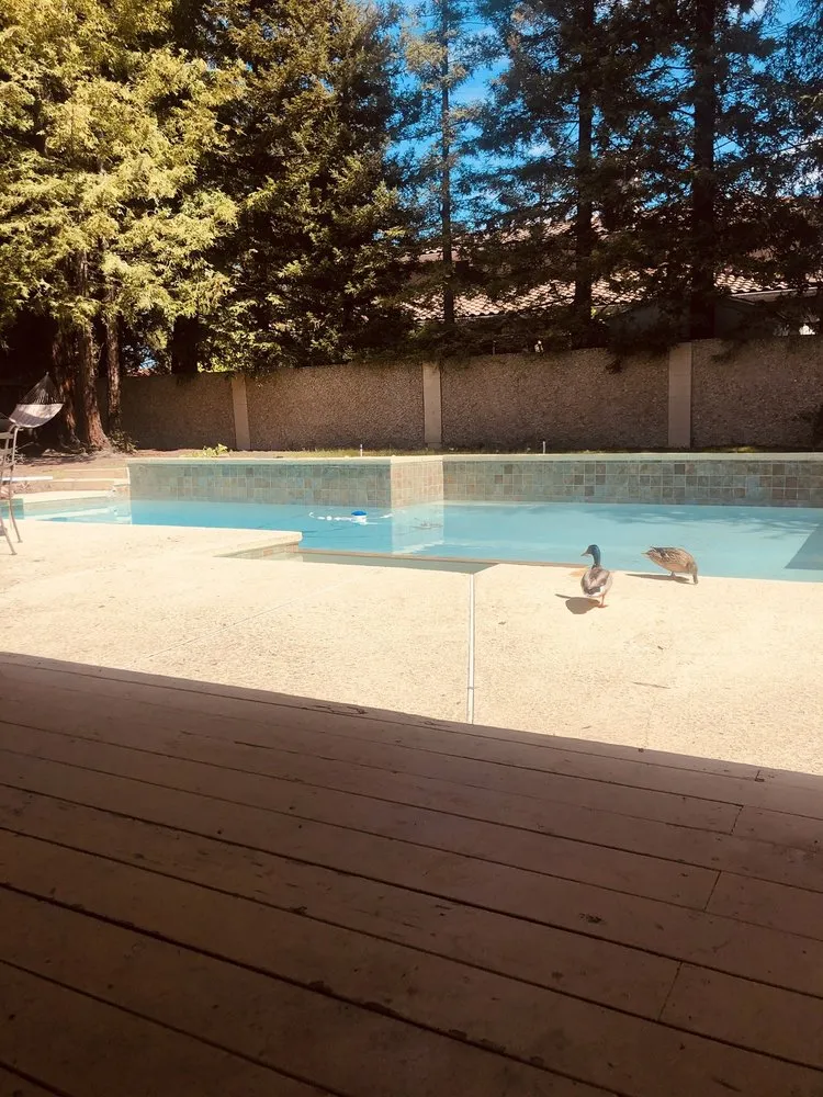 Trusted lawn mowing service experts serving Livermore, CA - Pacheco Landscape and Construction