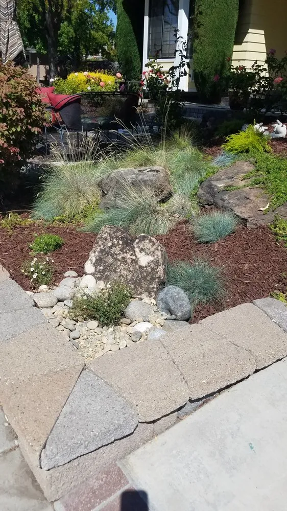 Reliable yard cleanup service for outdoor upgrades in Livermore, CA by Pacheco Landscape and Construction