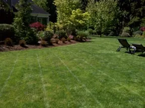 Local landscaping services experts serving Hillsboro, OR - Pacheco Landscape Maintenance