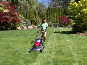 Local landscaping services for outdoor upgrades across Hillsboro, OR - Pacheco Landscape Maintenance