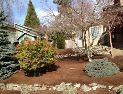 Reliable yard cleanup service in Hillsboro, OR - Pacheco Landscape Maintenance